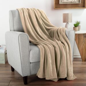 fleece blanket – sky blue – queen (copy)