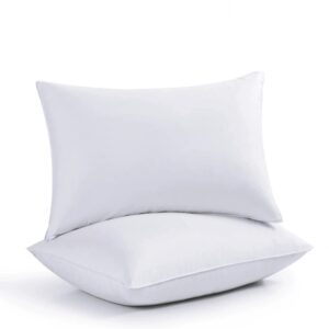 pillow standard 20 x 30